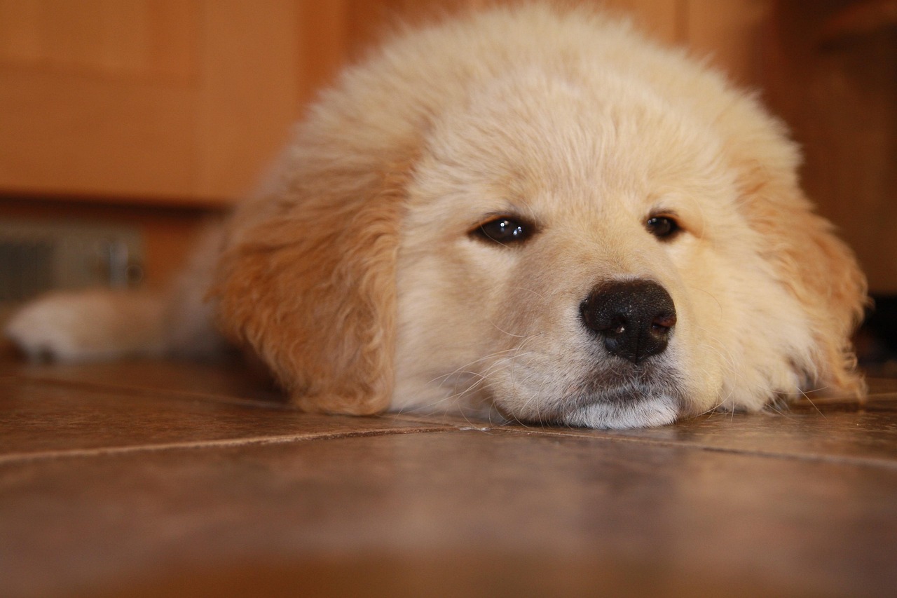 聚名网实名账号:乐清个体工商代理公司注册