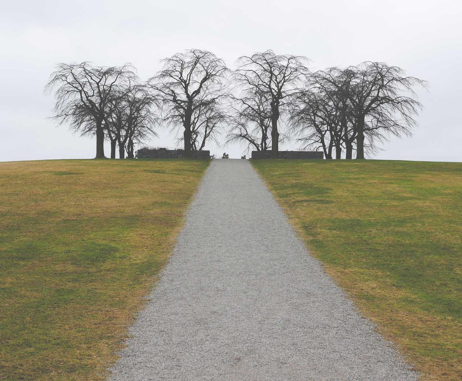 电销电话手机卡:实名认证如何保护青少年在线安全?