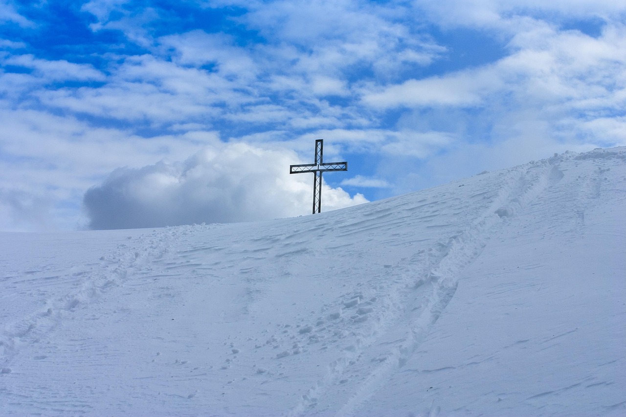 京东云实名账号:详情下载教程彩牛APP