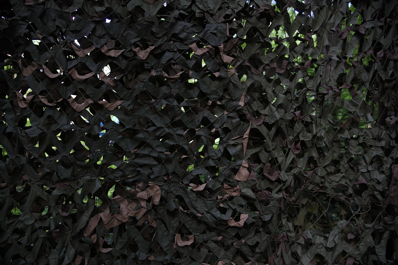 华人娱乐,注册|红星线上开户平台