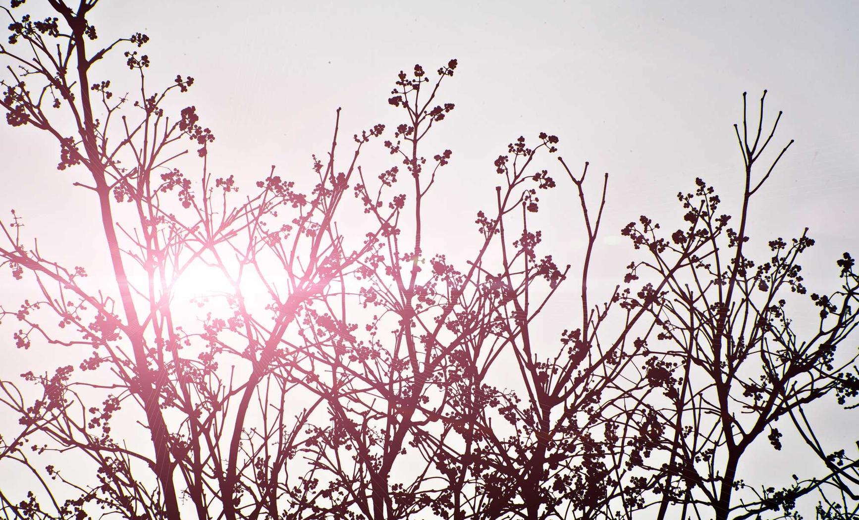 在线DDOS压力测试网页端|代理注册 租赁合同