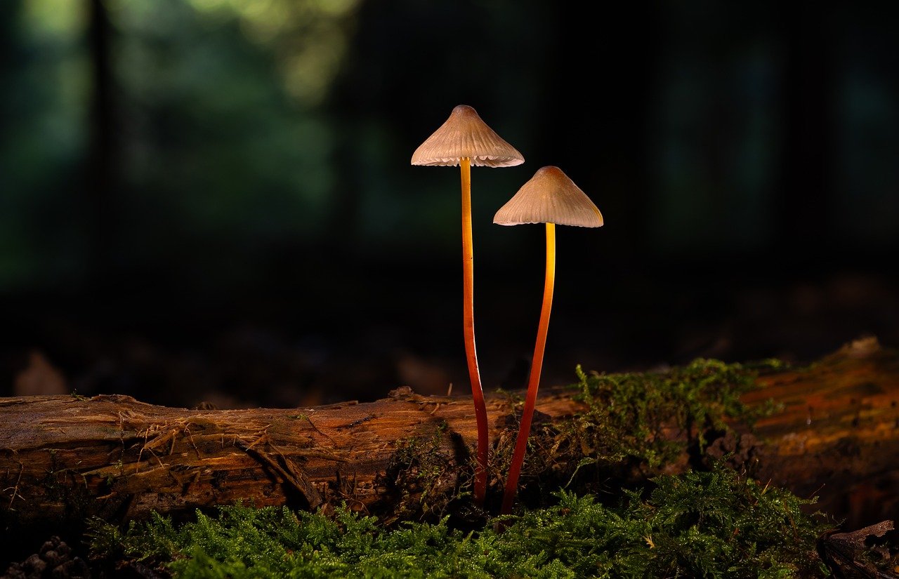 微信买卖小号:流量卡的保障服务及如何处理问题