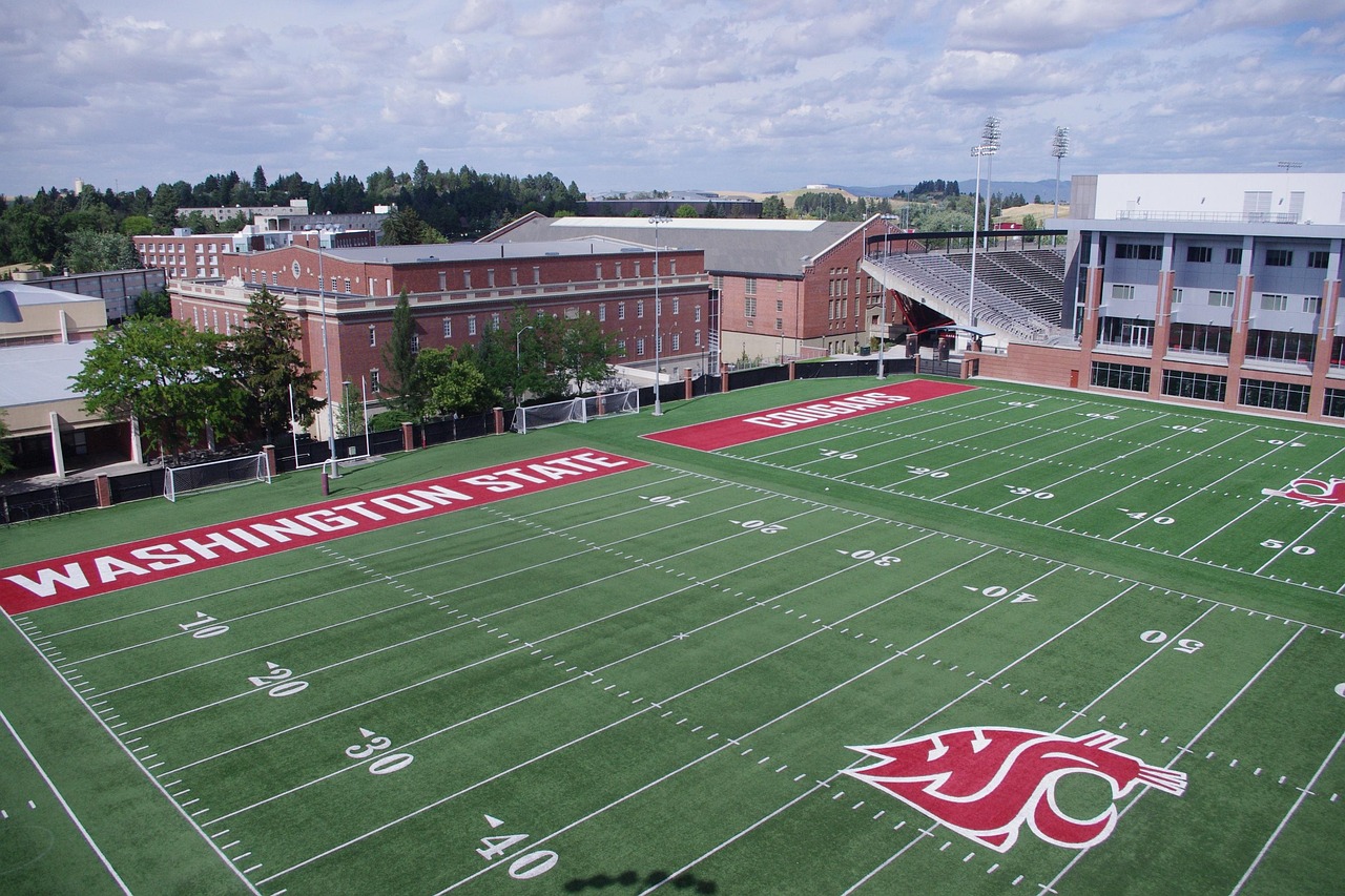 火种实名账号：6mm详情下载教程app免费详情下载教程