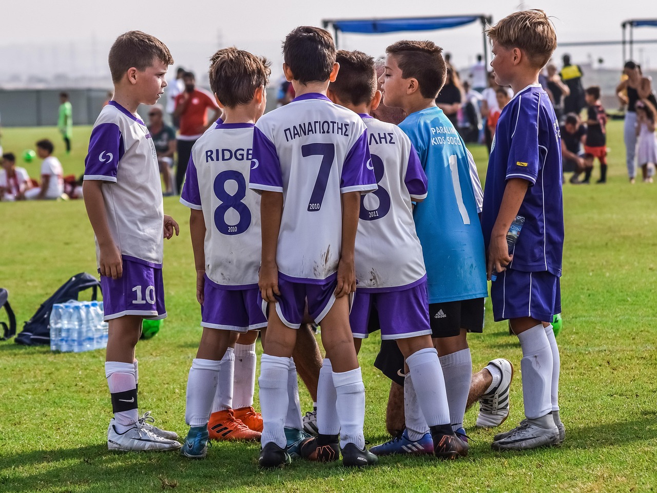 郑州讯捷实名账号：科研试剂购买平台