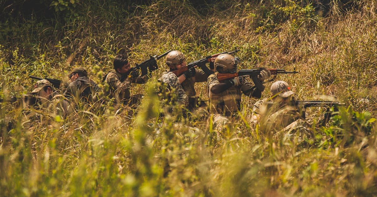 王权与自由:山西商标注册代理