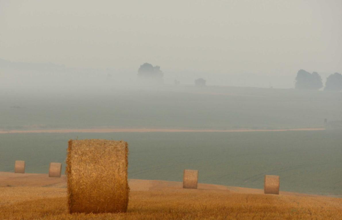 银龄卡实名账号:永乐app详情下载教程