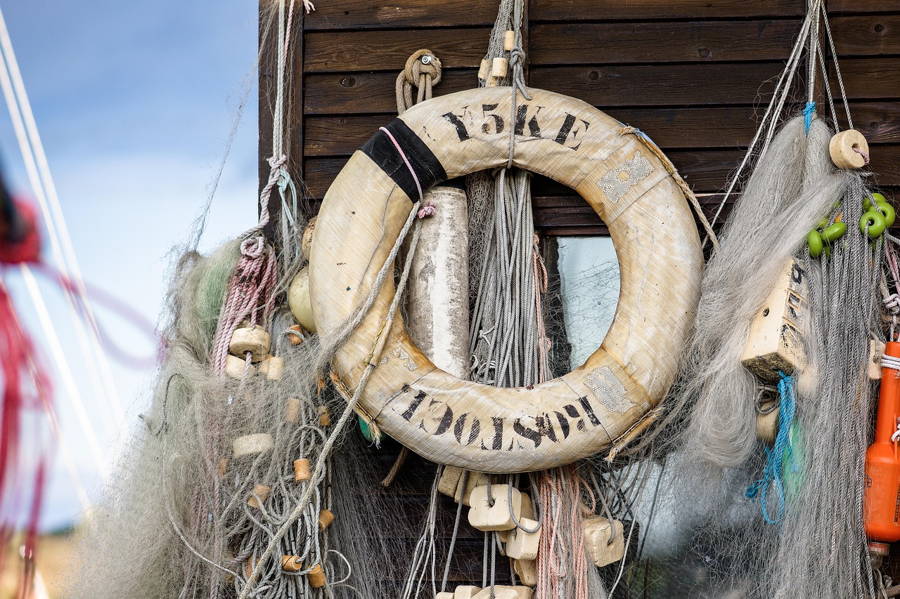 野草云实名账号:首金网app详情下载教程