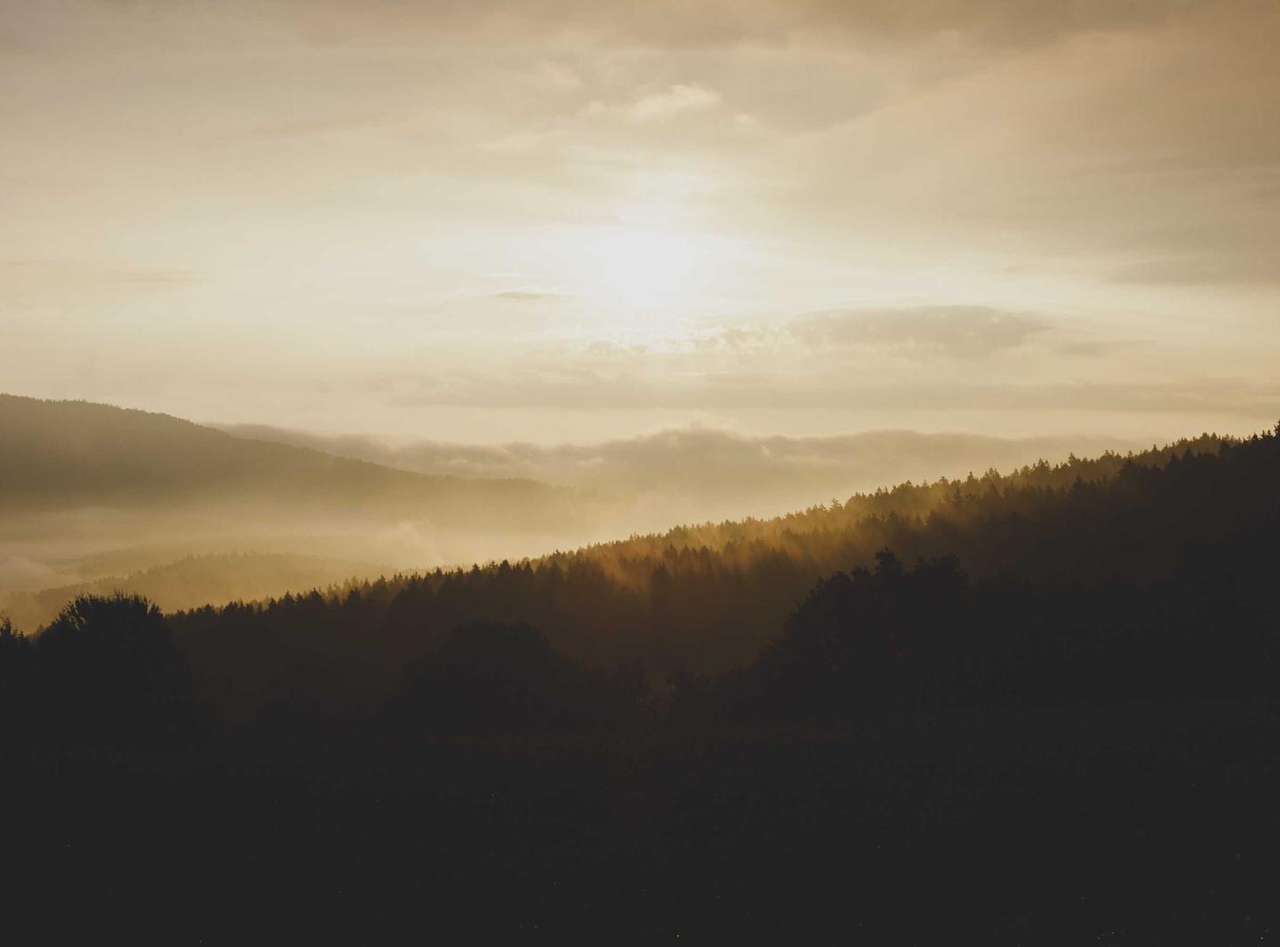 王者荣耀：长丰代理注册公司