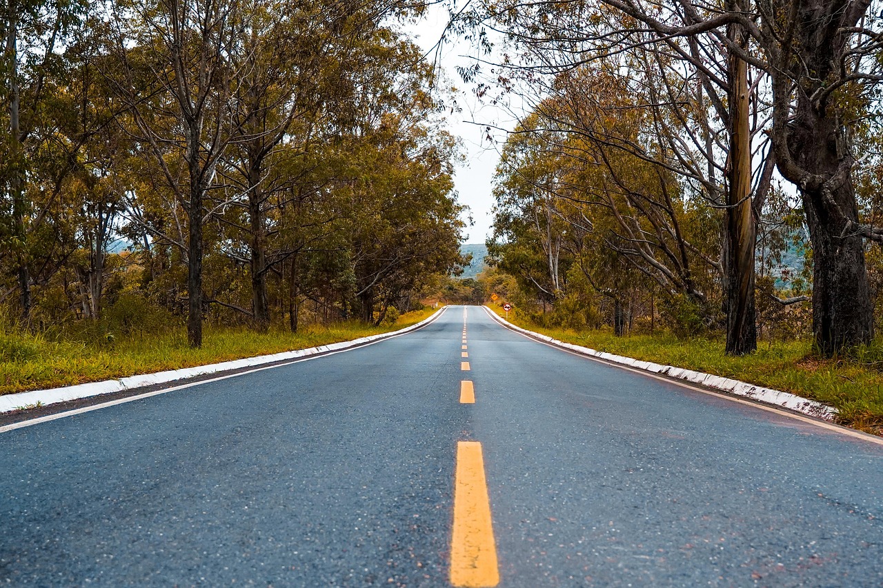 香烟是否会减少身体对铁的吸收?